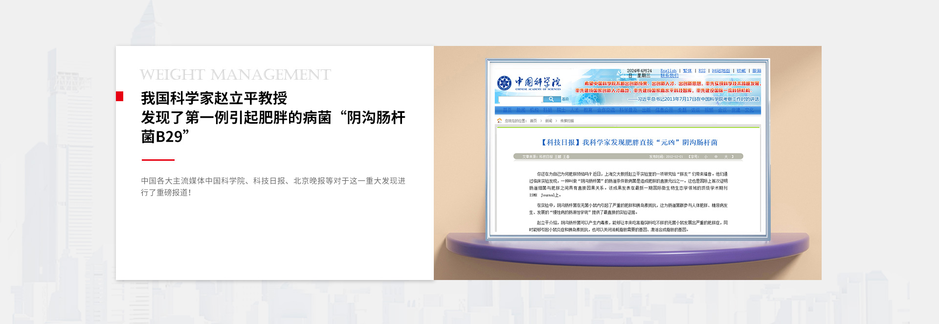 致胖元凶